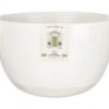 Artisan Street Salad Bowl 22cm 2 Artisan Street Salad Bowl 22cm -Home Furnishings Store 46536 2923
